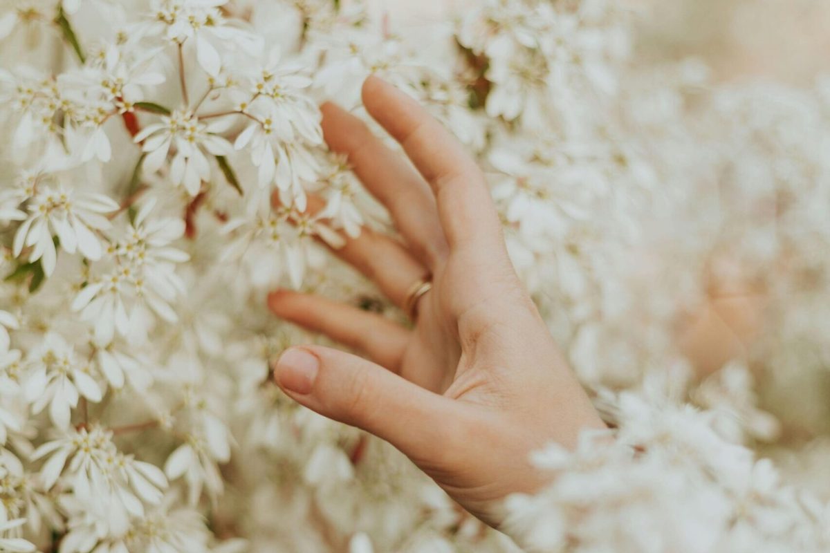 pexels-leticia-alvares-1805702-25685912